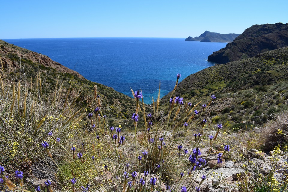 панорамный вид в Альмерии