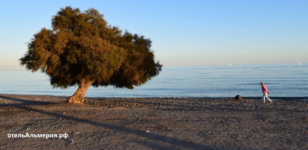 Человек идет на прогулку по пляжу Средиземное море