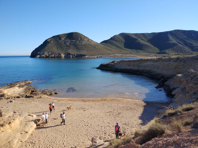 Родалькилар